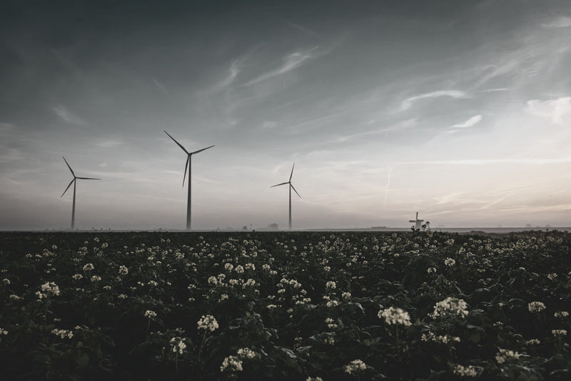 Enviromental Testing & Field Measurements